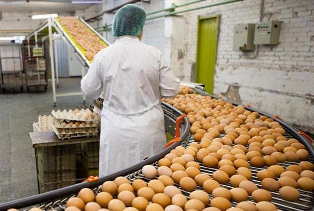 Temps plein ou temps partiel?