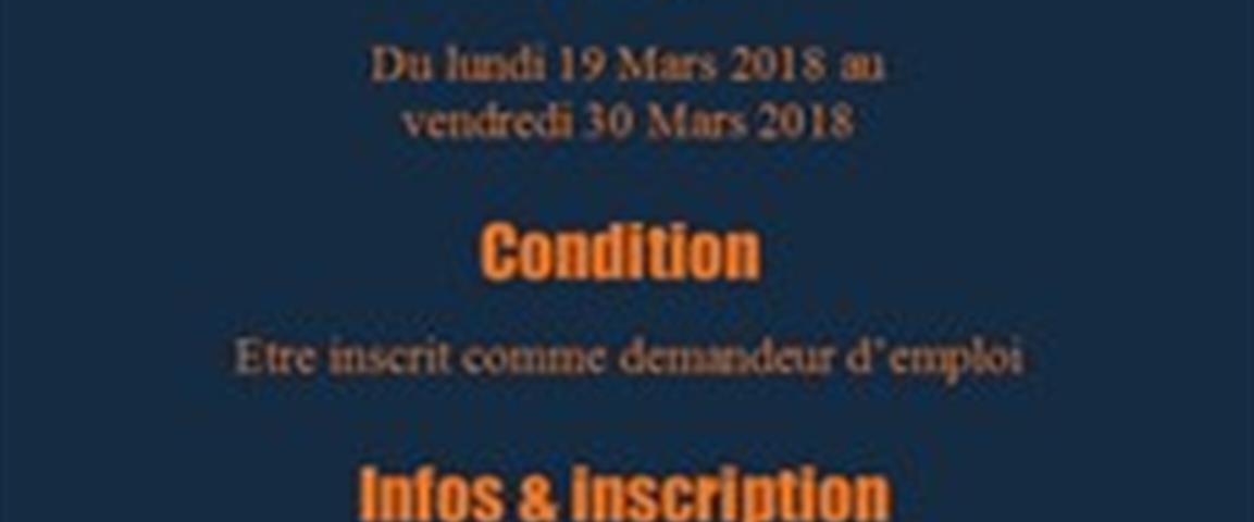 Job-Project-2-tcm205-426466